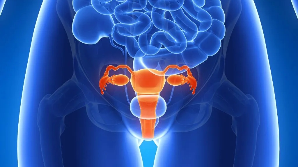 女孩总是习惯性夹腿,这是怎么回事?对身体有多大影响?涨知识了