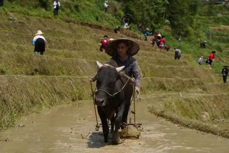 专家：农业就是暴利行业！大爷听后立马给专家上了一课