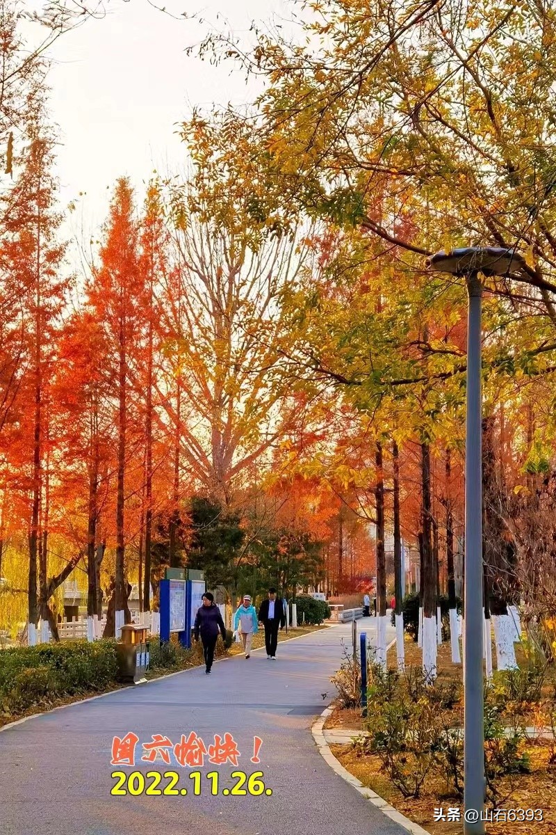 「战友美文」陈民：《儿子的足球梦》——世代传承呵