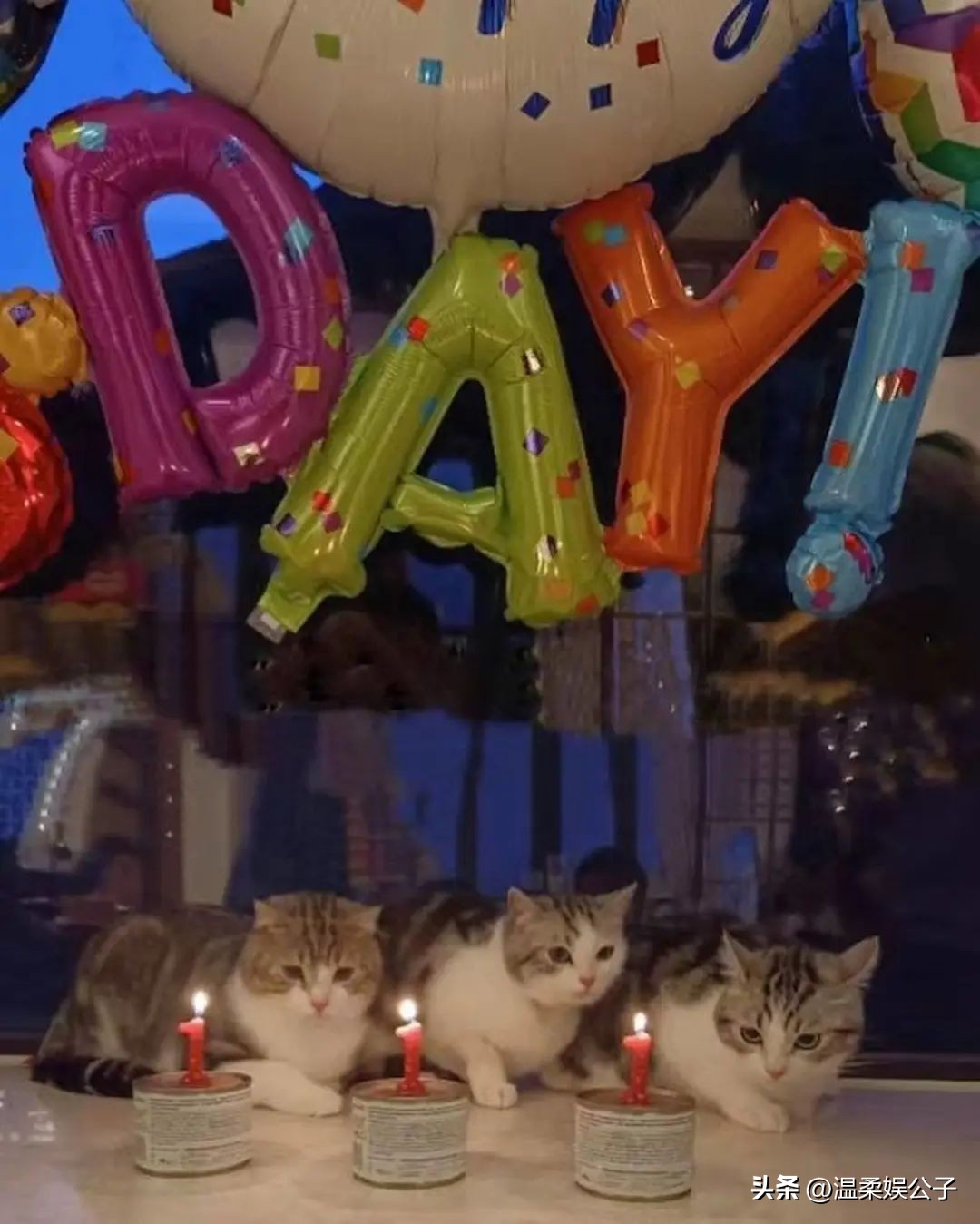 梁洛施大合照,梁洛施的富贵生活