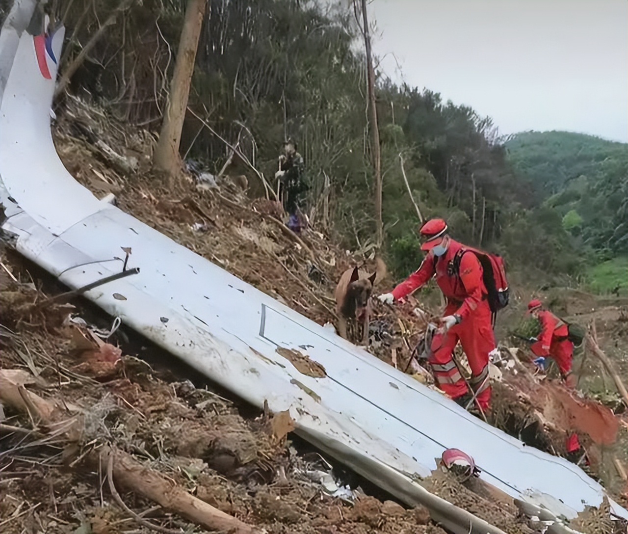 东航mu5735坠机事件最新,东航mu5735坠机事件还原