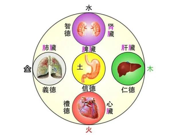 经常心慌、胸闷，心病还需从胃治！一张养胃调心的方子收好