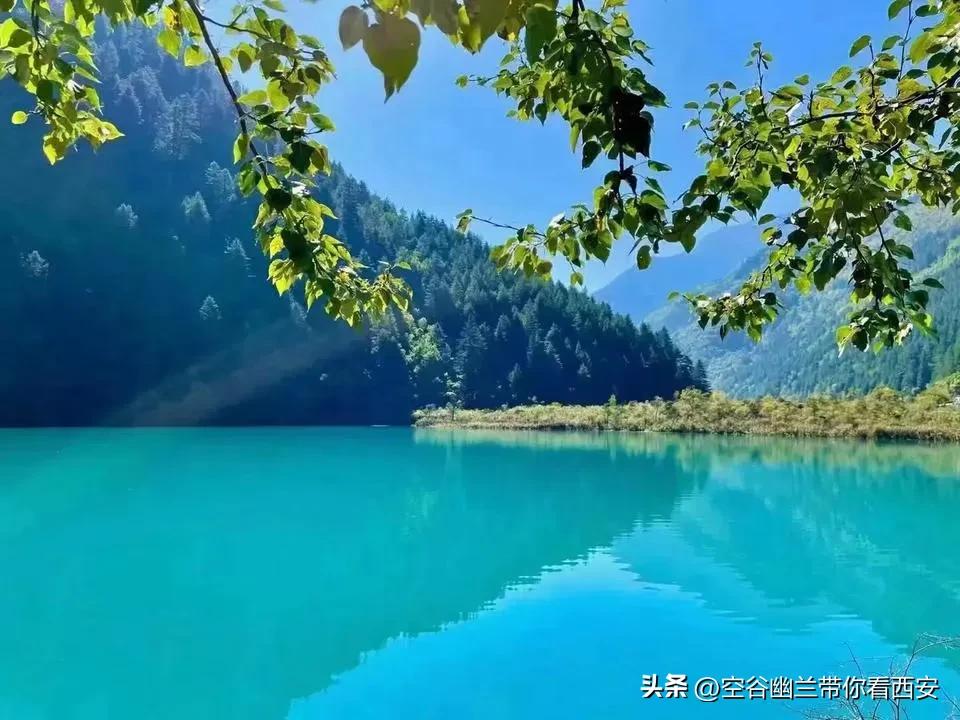 宅在家里挣钱的副业,宅在家也可以找个副业