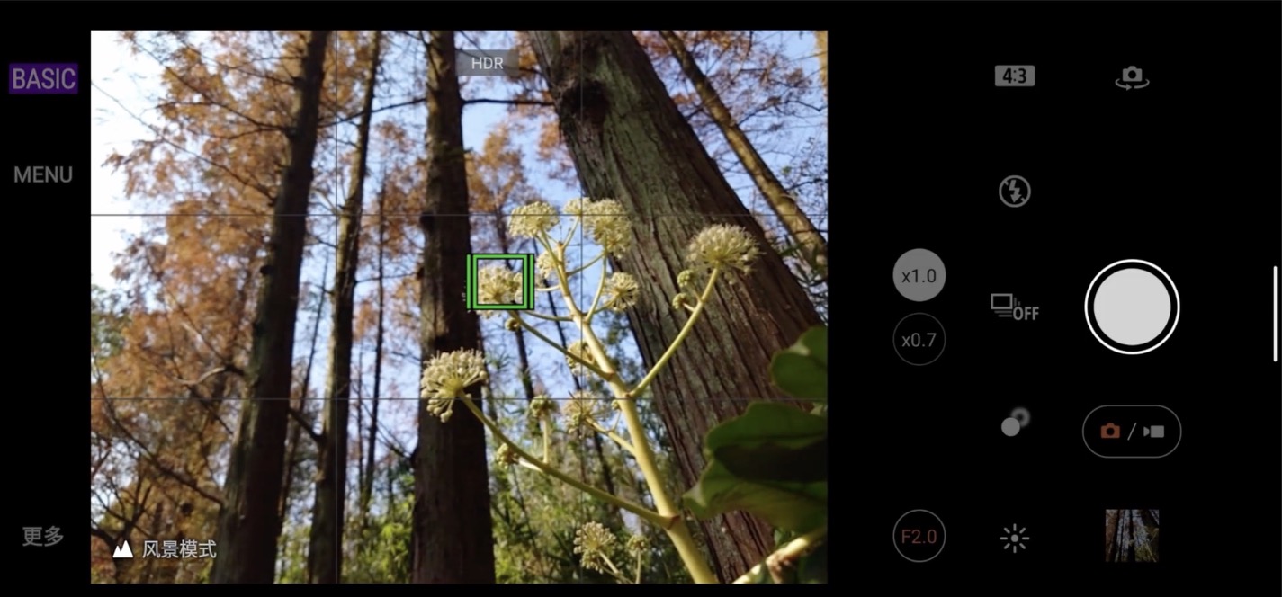 索尼xperiapro-i拍照排行,三星s21ultra与索尼xperiapro