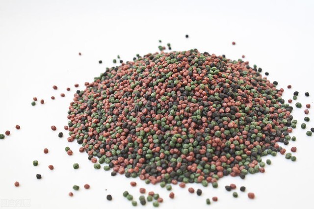 观赏鱼小型饵料,小型观赏鱼鱼食饵料