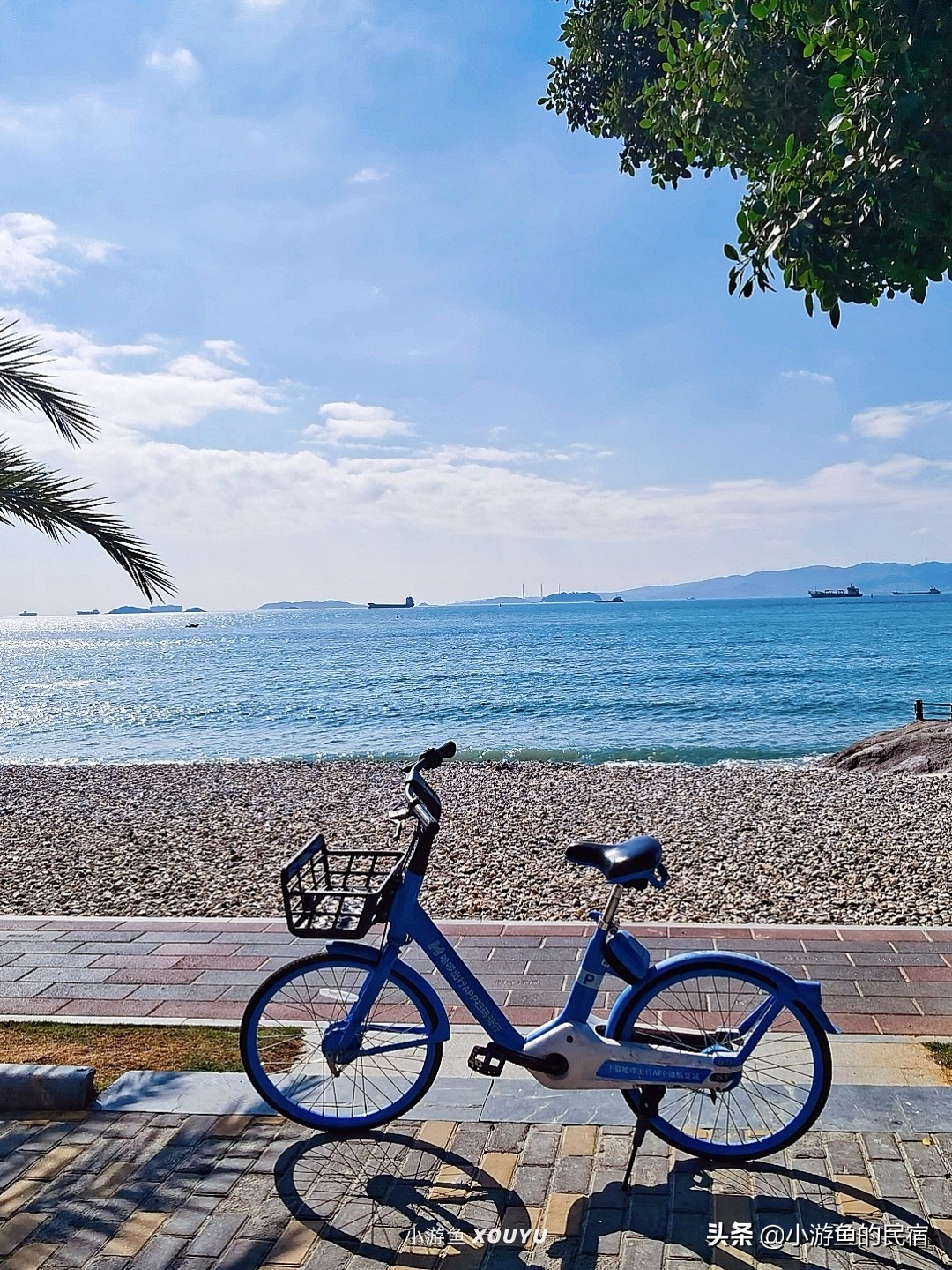 厦门两天一夜团建旅游攻略,厦门旅游2个人四天预算