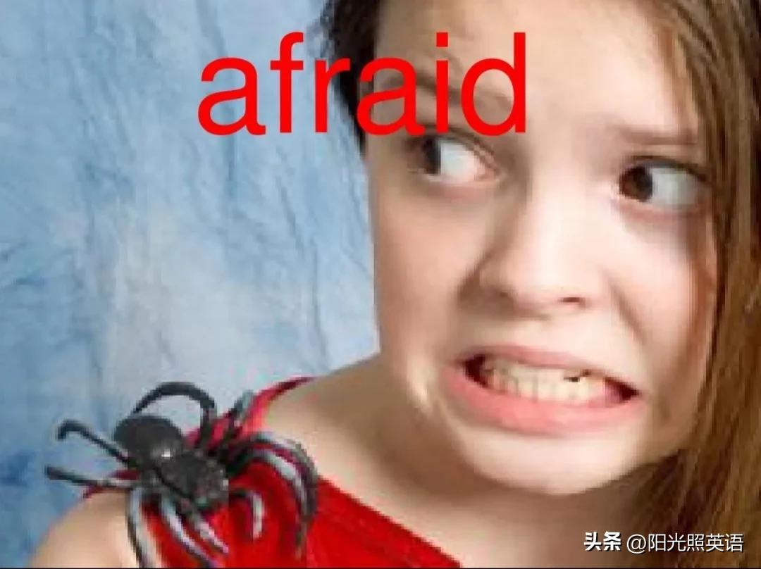 一年级下册英语unit4知识汇总跟读,初中一年级英语外研版知识点整理