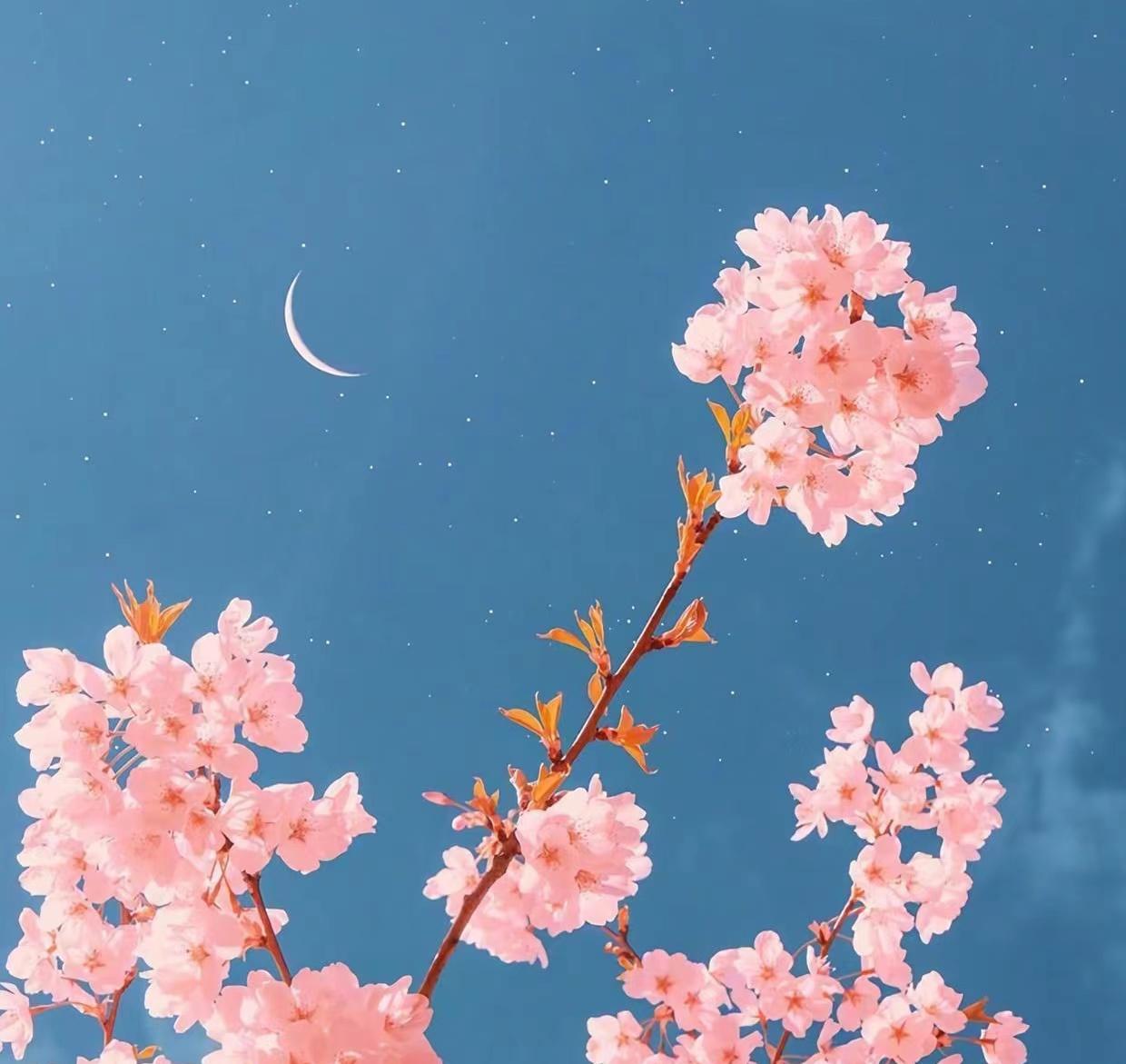 断联后男人多久会忍不住联系你,断联后男人开始思念你