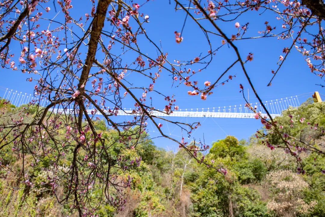 昆明旅游漂流攻略图,昆明夏季旅游攻略一日游景点