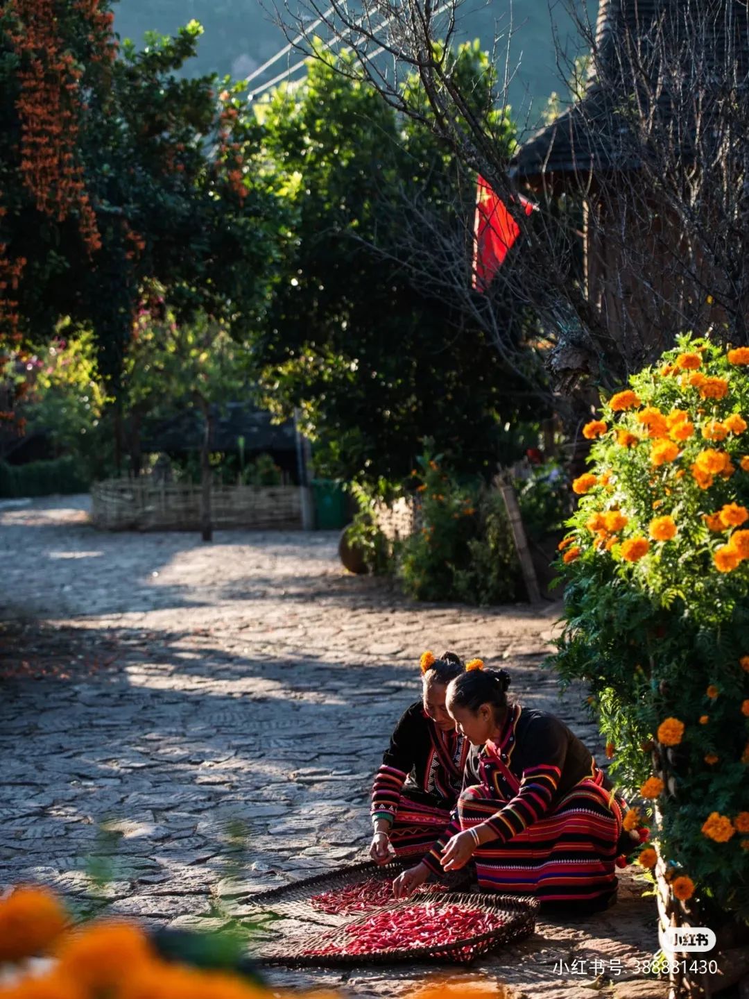 云南旅居最理想的避寒地方,云南适合旅居的小众古镇