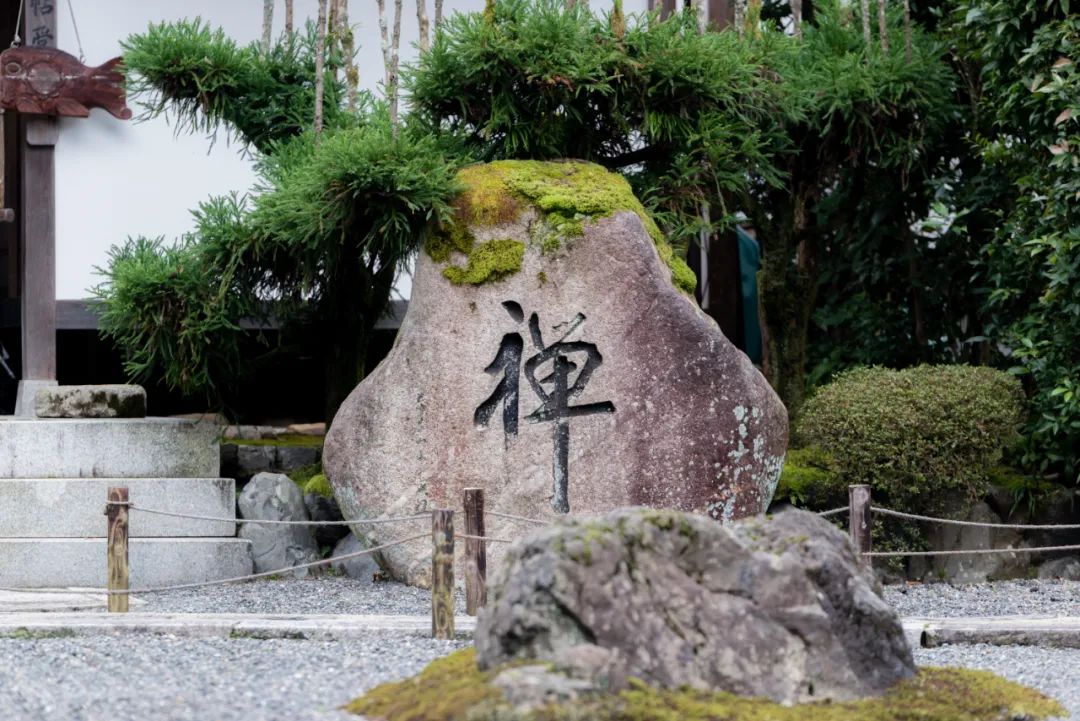 日本01年出生人口,日本01假面骑士