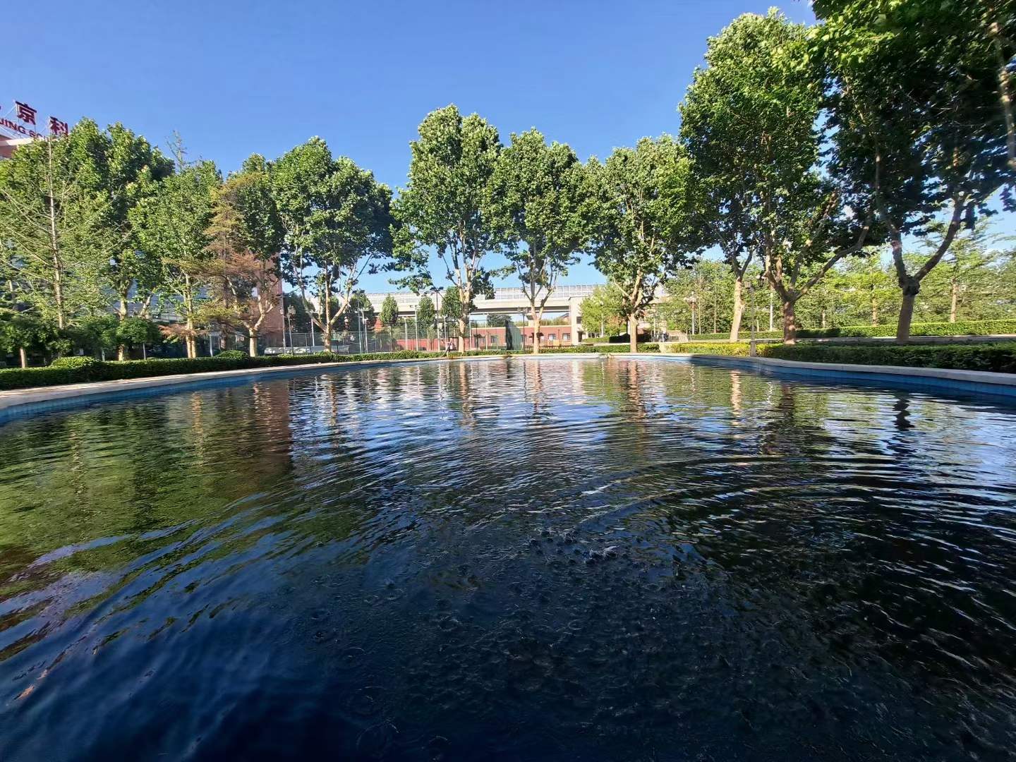 北大青鸟是什么学校怎么报名,北大青鸟技校是正规学校吗