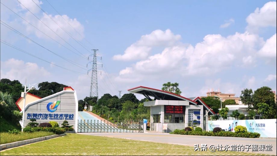 子墨老师讲教育,子墨老师视频