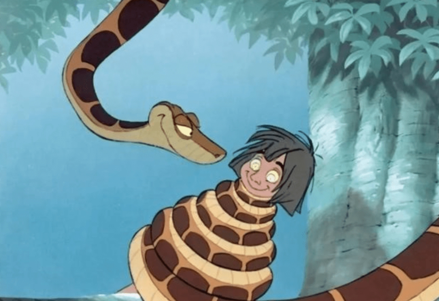 被蛇吞了肚子的科学实验,被蟒蛇吞下的24小时实验