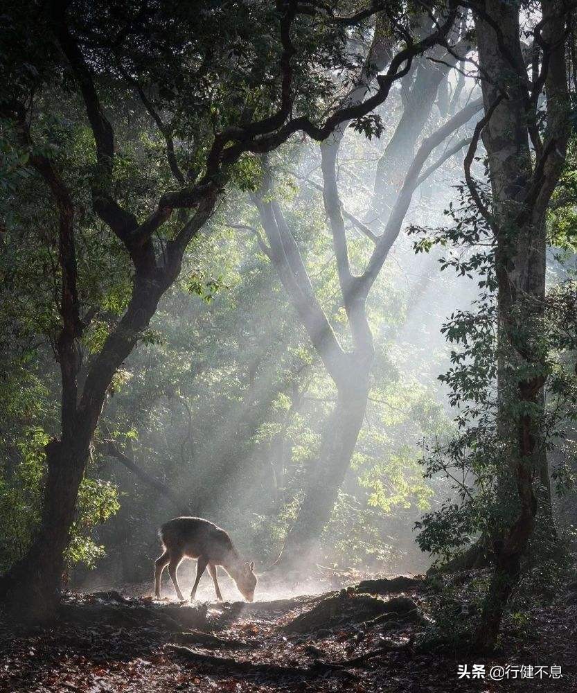 门对寒流雪满山的翻译,门对寒流雪满山