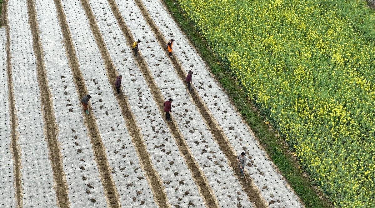 了解二十四节气相关知识,带你了解二十四节气之立春