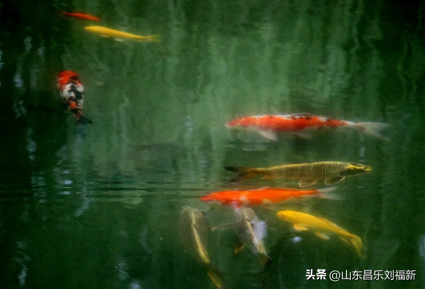 阴雨连绵网易云,阴雨连绵网易云卡点