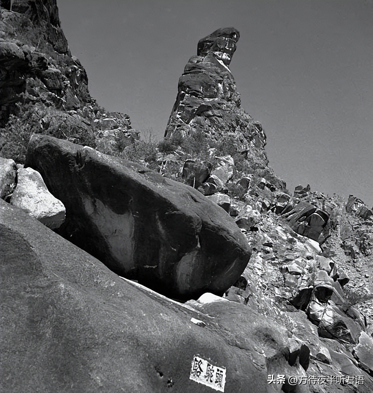 殊异之城：金石声穿过岁月的青岛留影