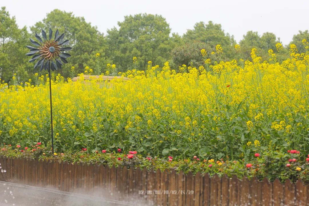 长沙攻略避开人群,收藏长沙