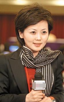 央视八位未结婚的女人,央视十大美女主持人轶事