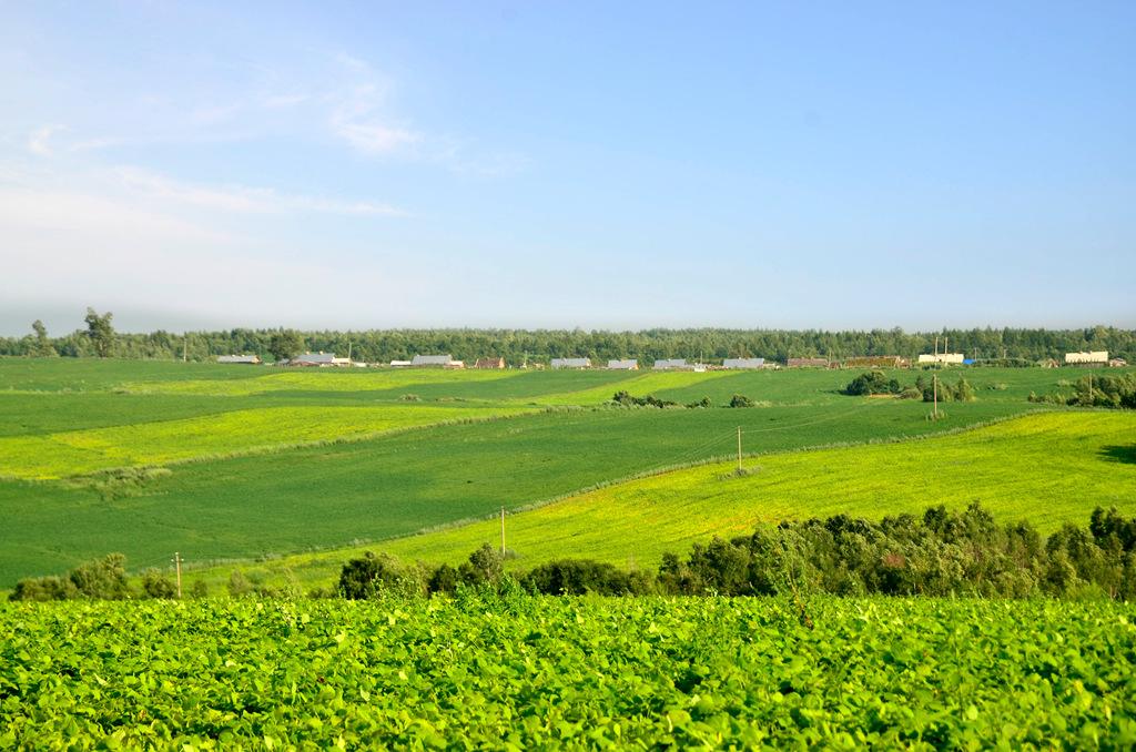 「三十六」：小娥与干大