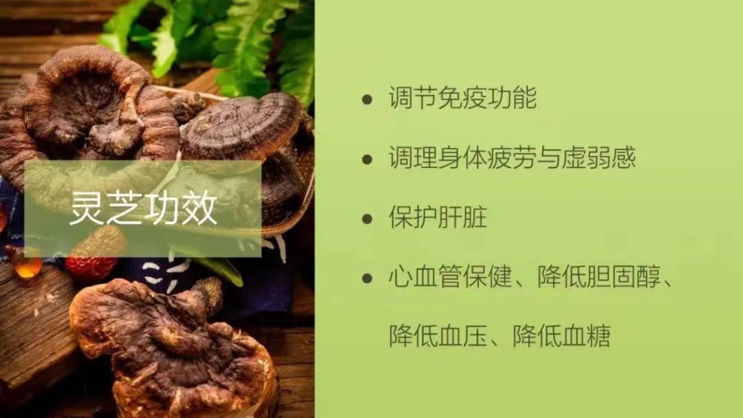 骨折主动康复,骨折后人体自愈力