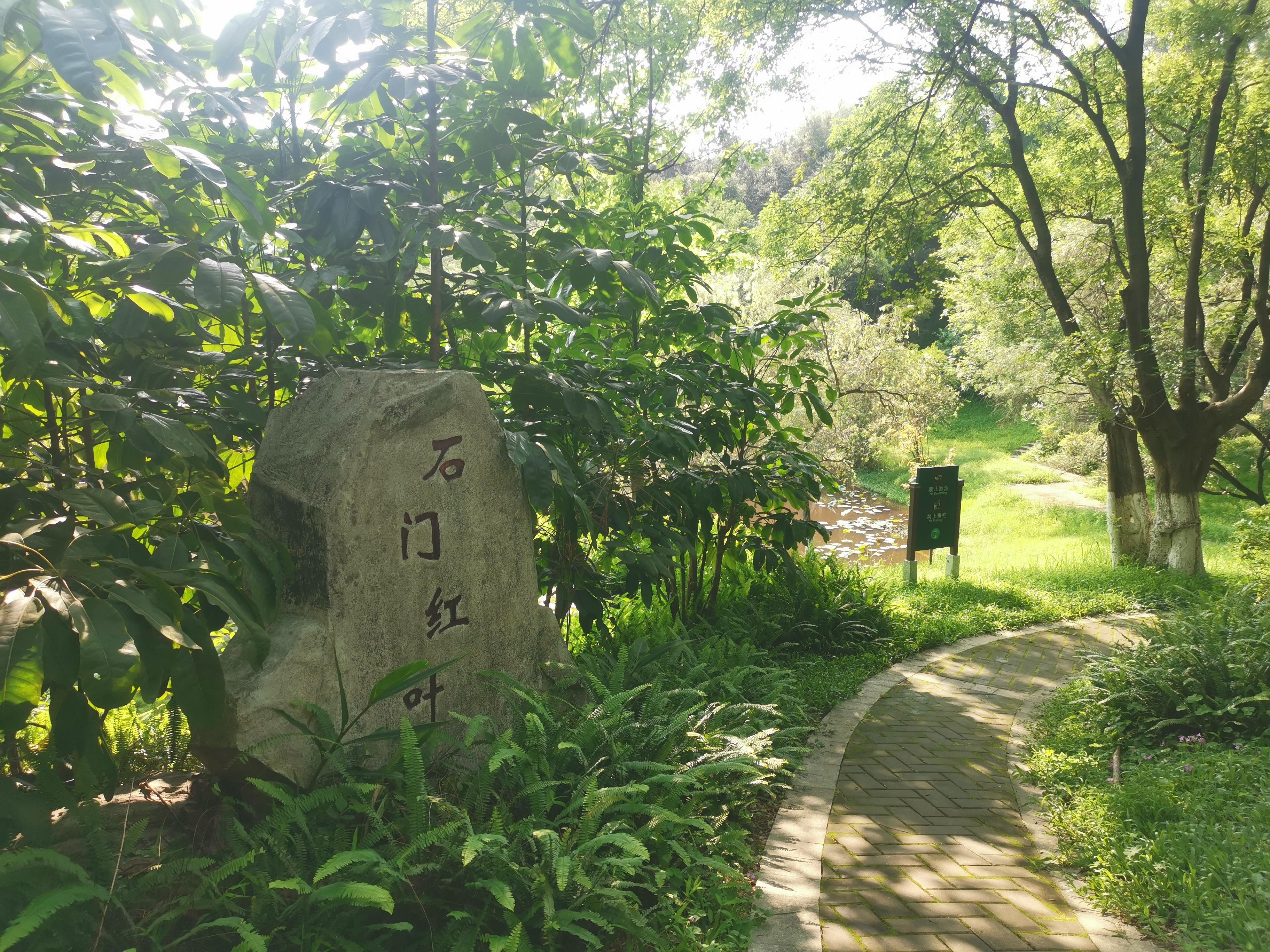 大夫山一日游自由行,大夫山一日游周记