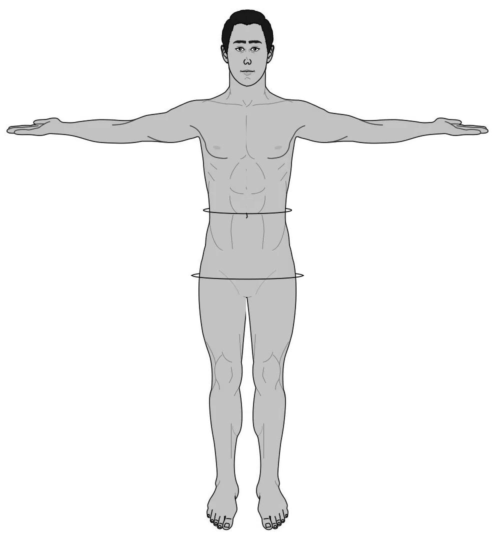 身体各部位用英语怎么说,人的身体部位英语单词怎么读