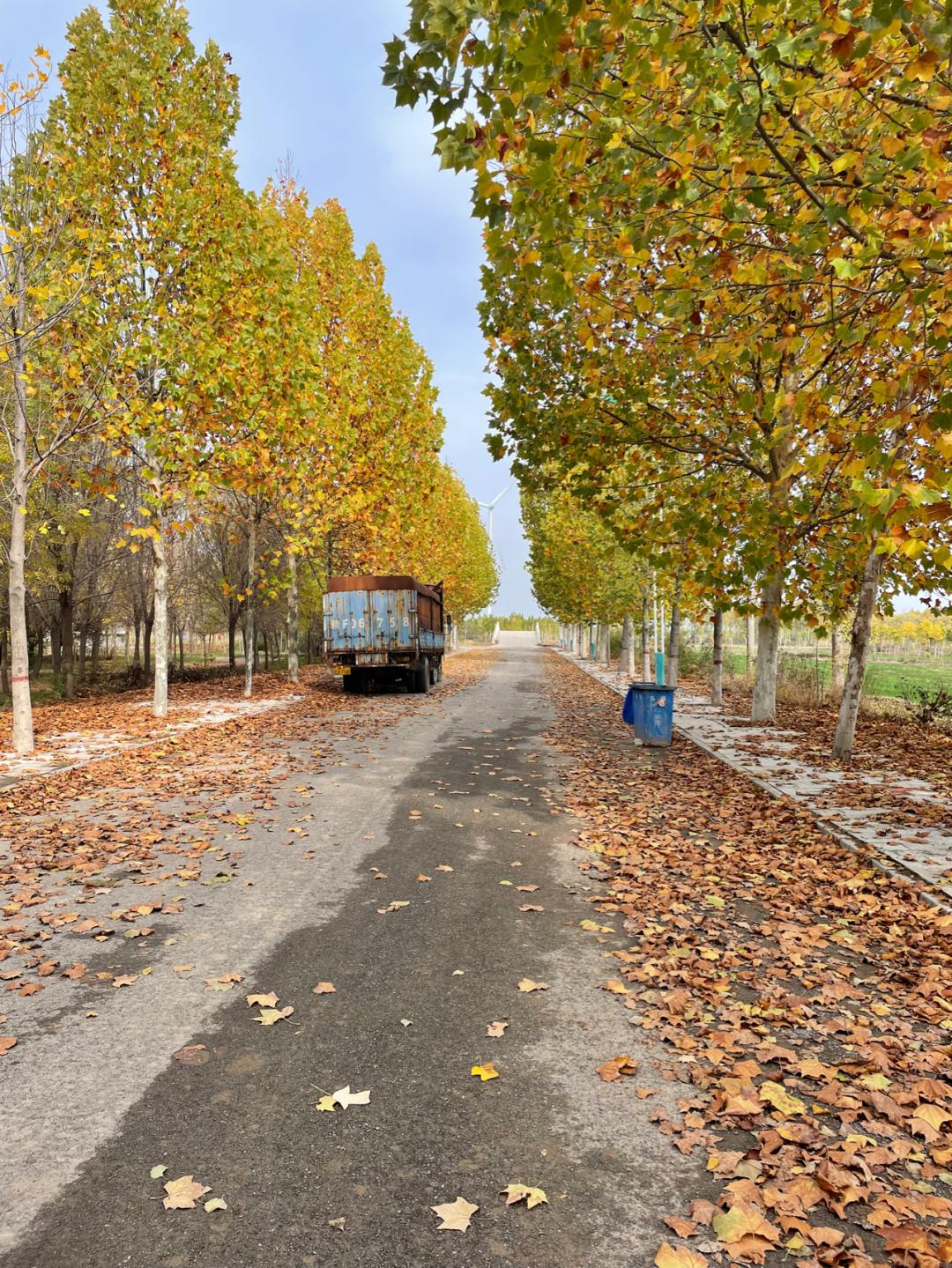 董董骑行山东,懂懂骑山东