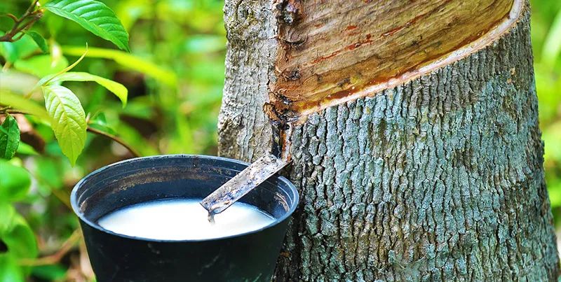 夏天醒来汗津津，这张乳胶冰感席，降温7度，舒爽又柔滑