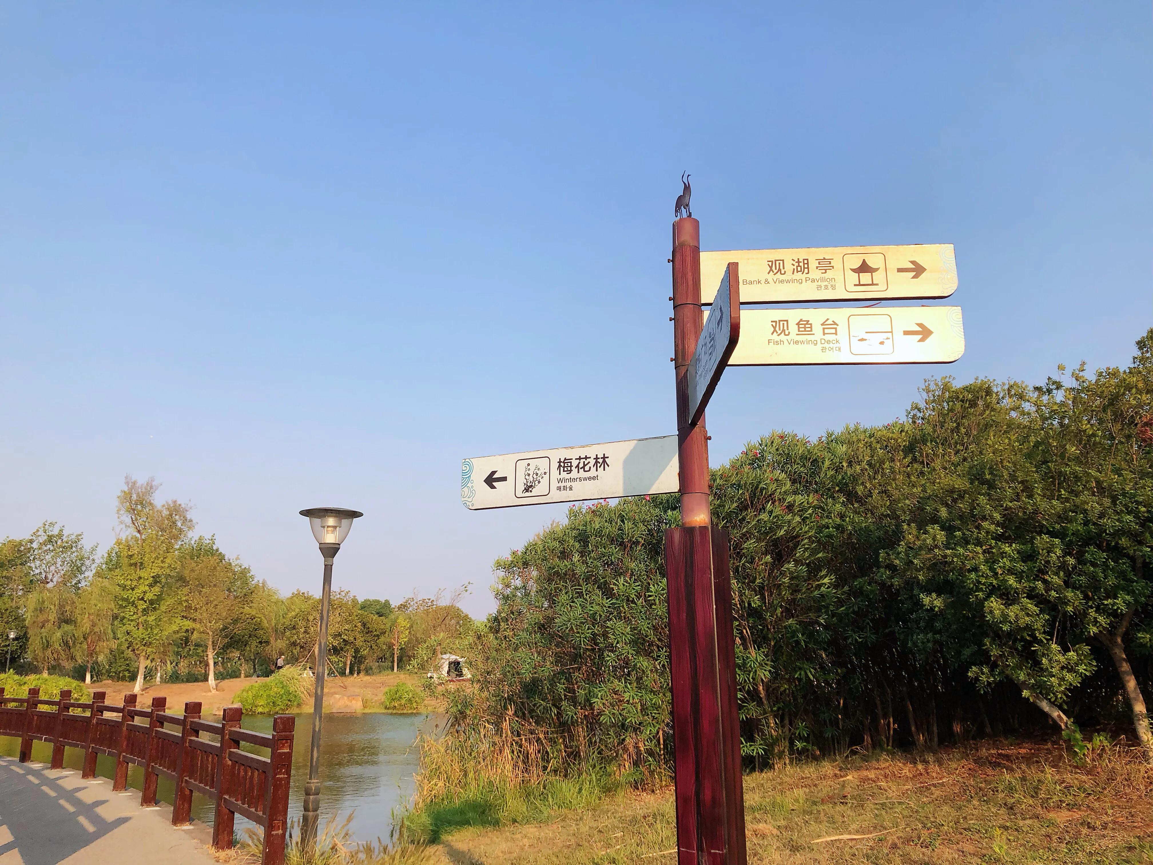 海滨松雅湖湿地公园,2020年长沙松雅湖湿地公园