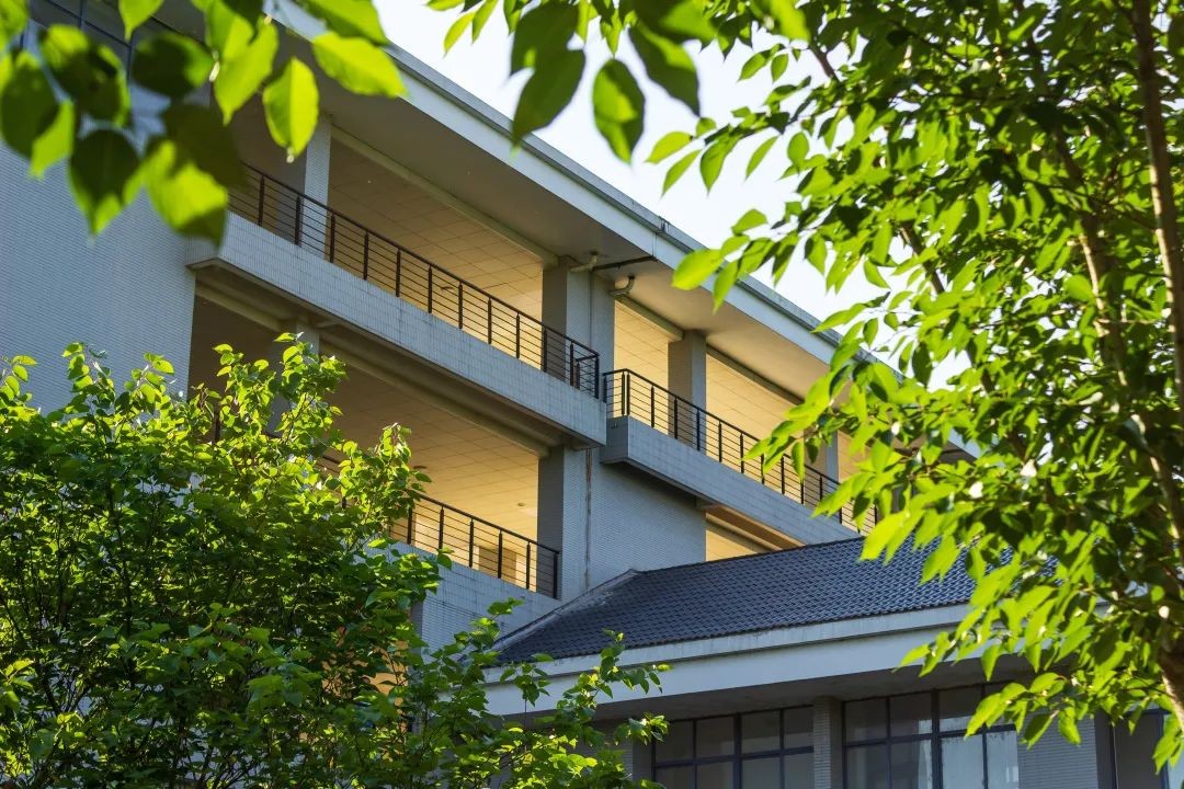 东南大学培养中国特色领军人才,东南大学最近引进的人才