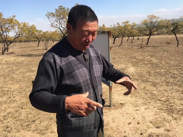 史前十大奇闻怪事,中国古代文物震惊