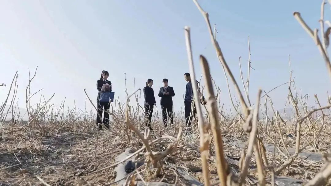 以公益之名,以公益为名