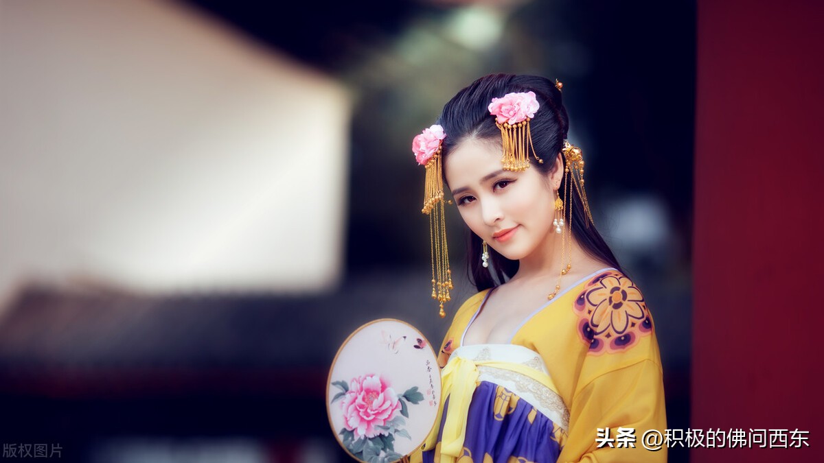 第七部的所有角色,第七种人格小说免费阅读