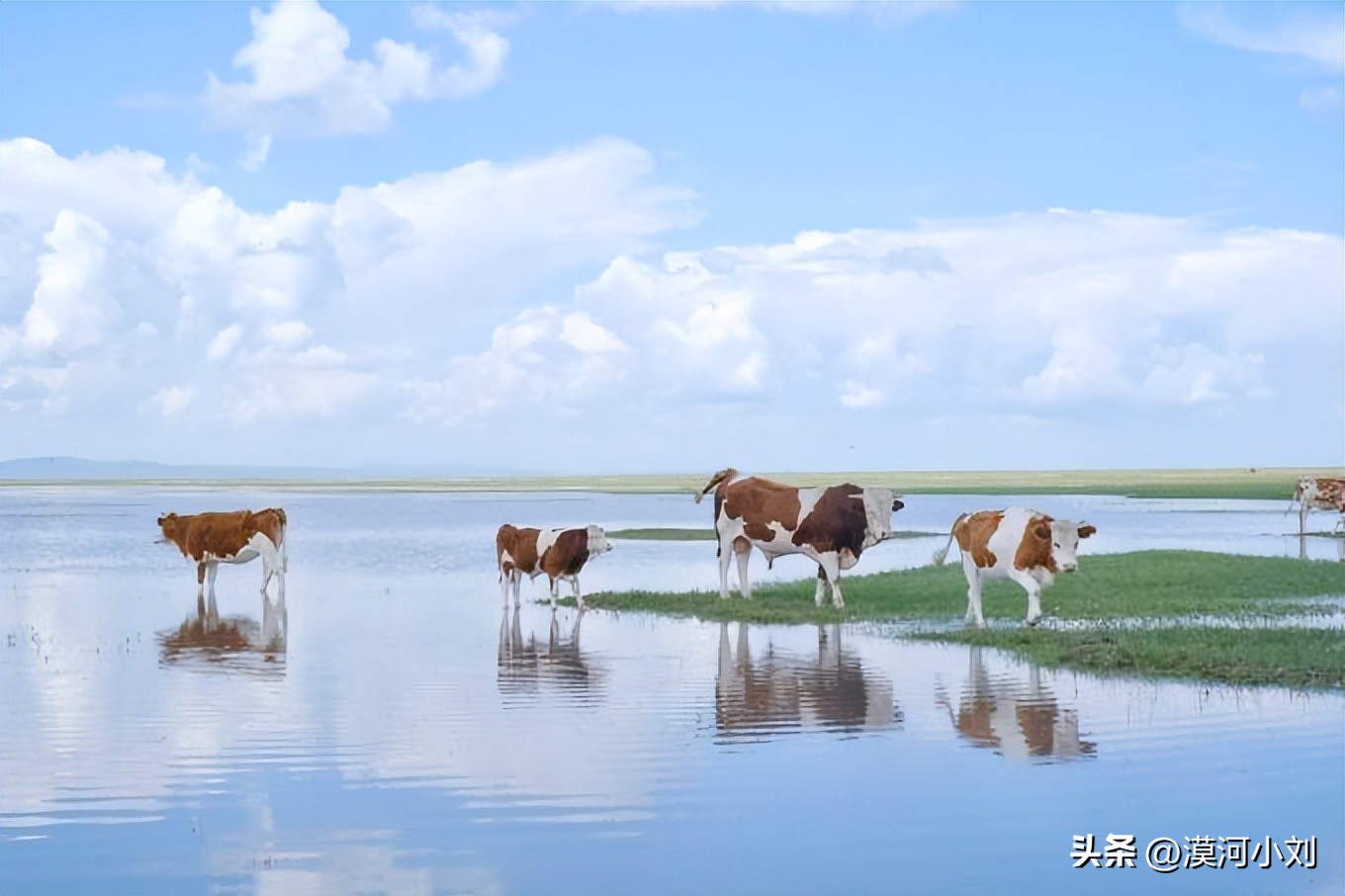 内蒙古呼伦贝尔漠河地图,呼伦贝尔大草原北线5日游攻略