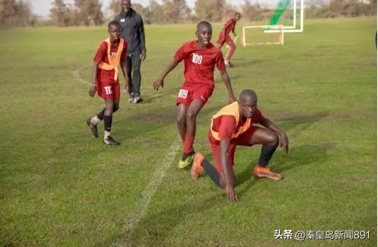 「伯男说体育」雄狮怒吼，小国大出——塞内加尔的足球传奇