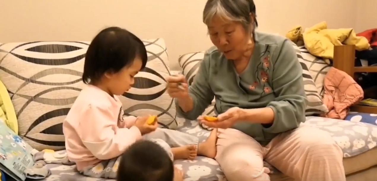 20年广东老太捡到一只“野猫”,越养越不对劲,专家看后立即报案