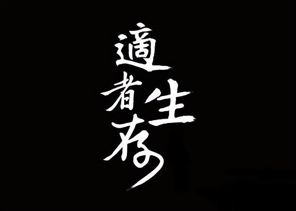 A股：如何判断手中的股票有没有主力在出货？请认准这5个特征