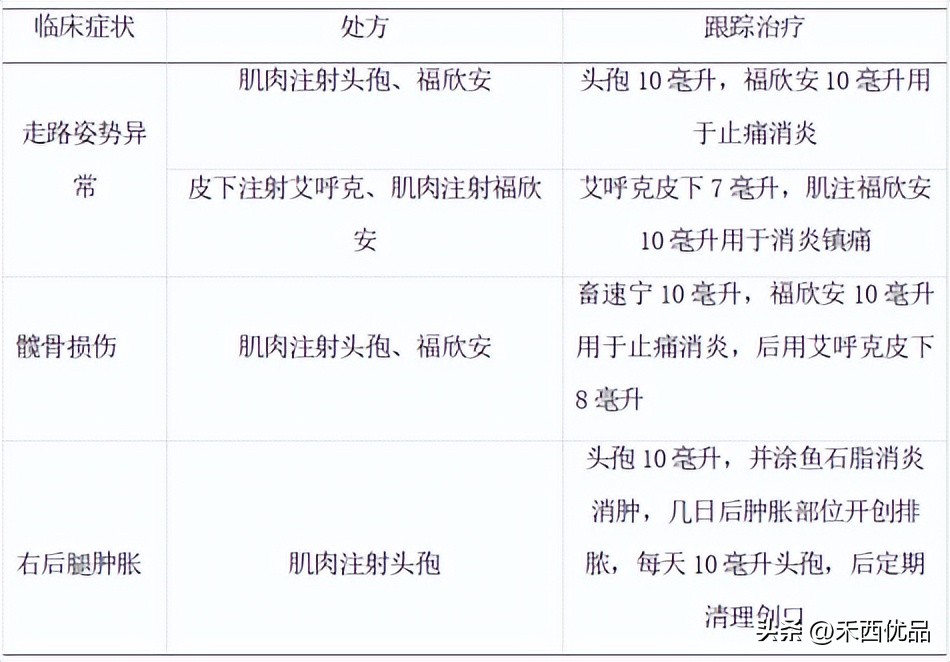 奶牛场的奶牛损伤病例分析