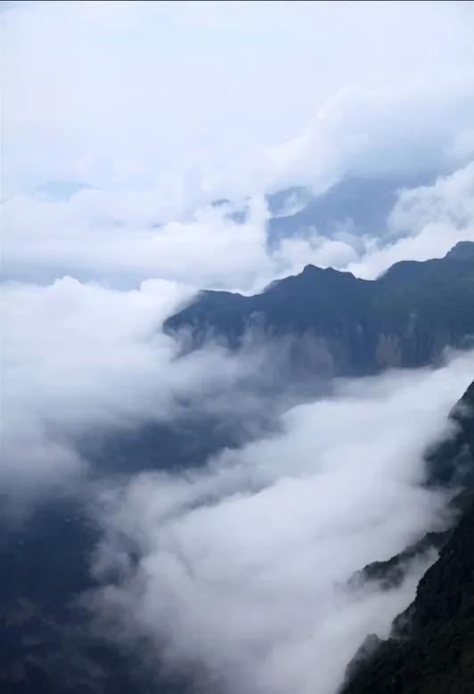 目前云南昭通有多少作家,昭通十大作家