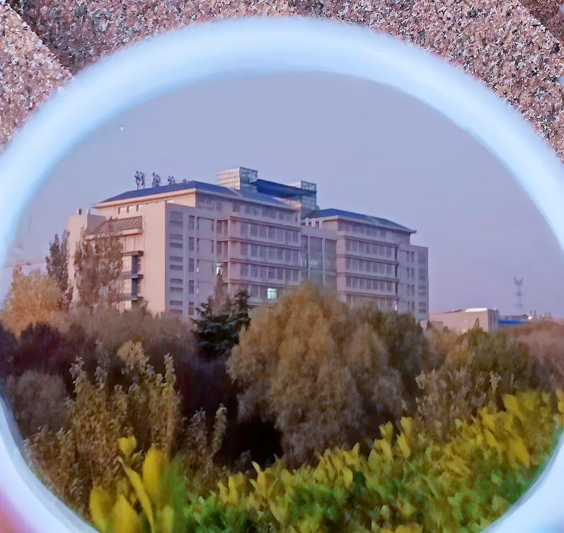 一探究“镜”!共赏镜子里的山中医