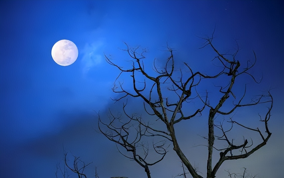 夜深人静静夜思的原创诗句,慢品人间烟火气闲观人间岁月诗句