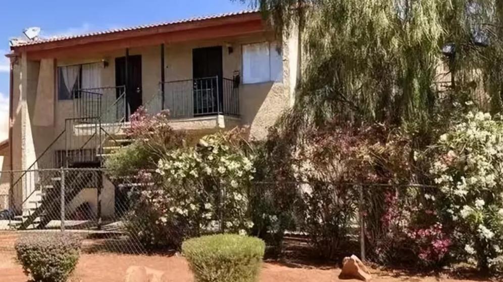 他是美籍华裔教授，手持巨资“包租公”，赴美闯荡余生却失去自由