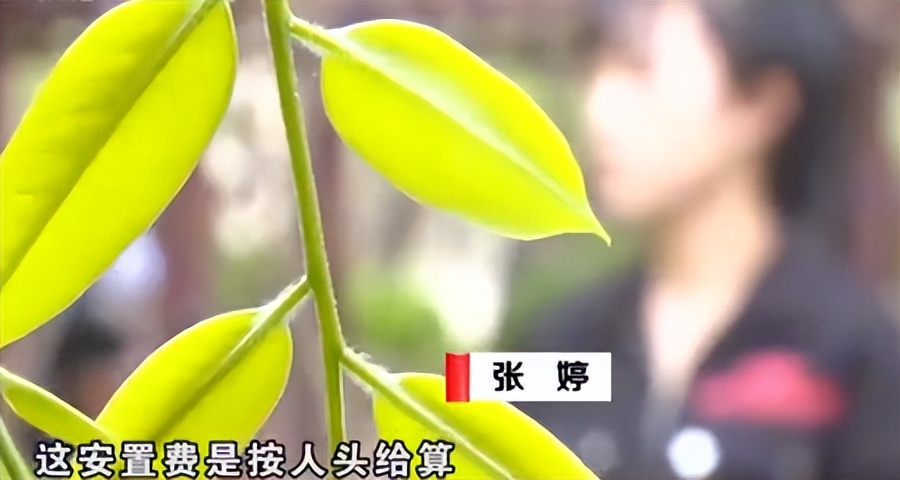 闺蜜借老公结婚后续,闺蜜借老公假结婚后续大结局