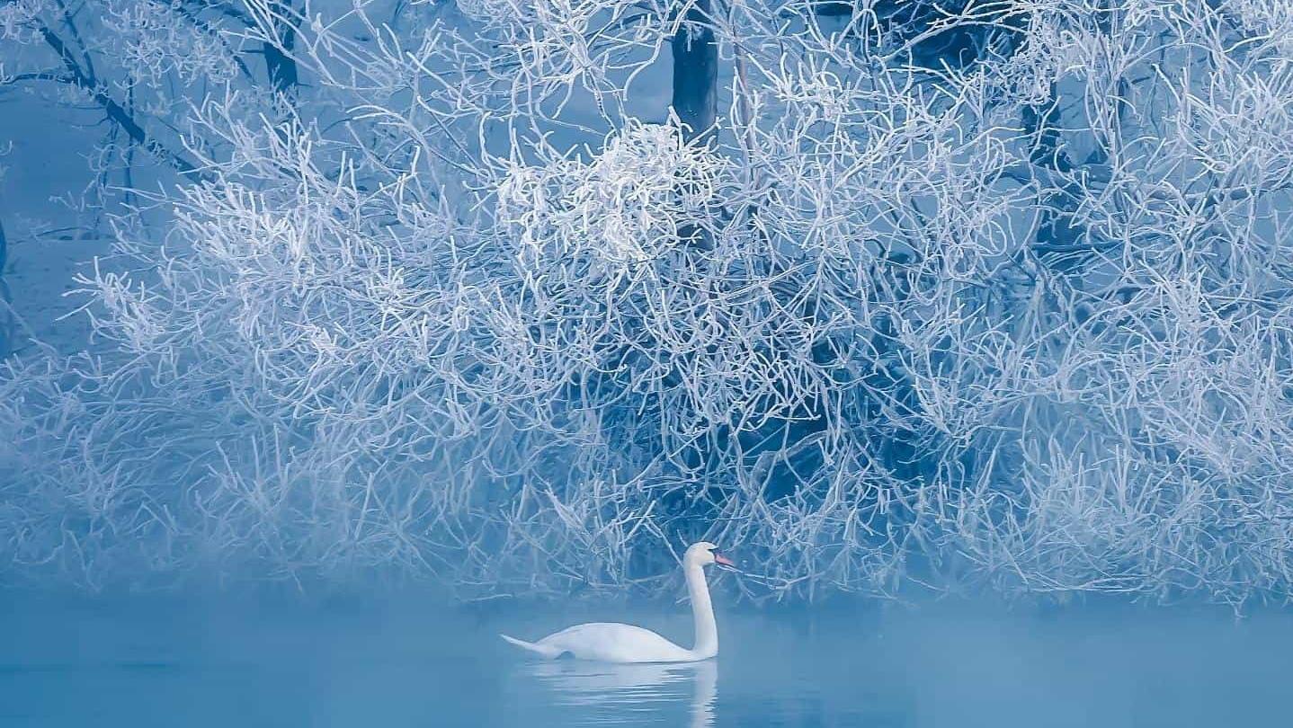 海龙的皮帽子,郭德纲经典相声海龙的帽子