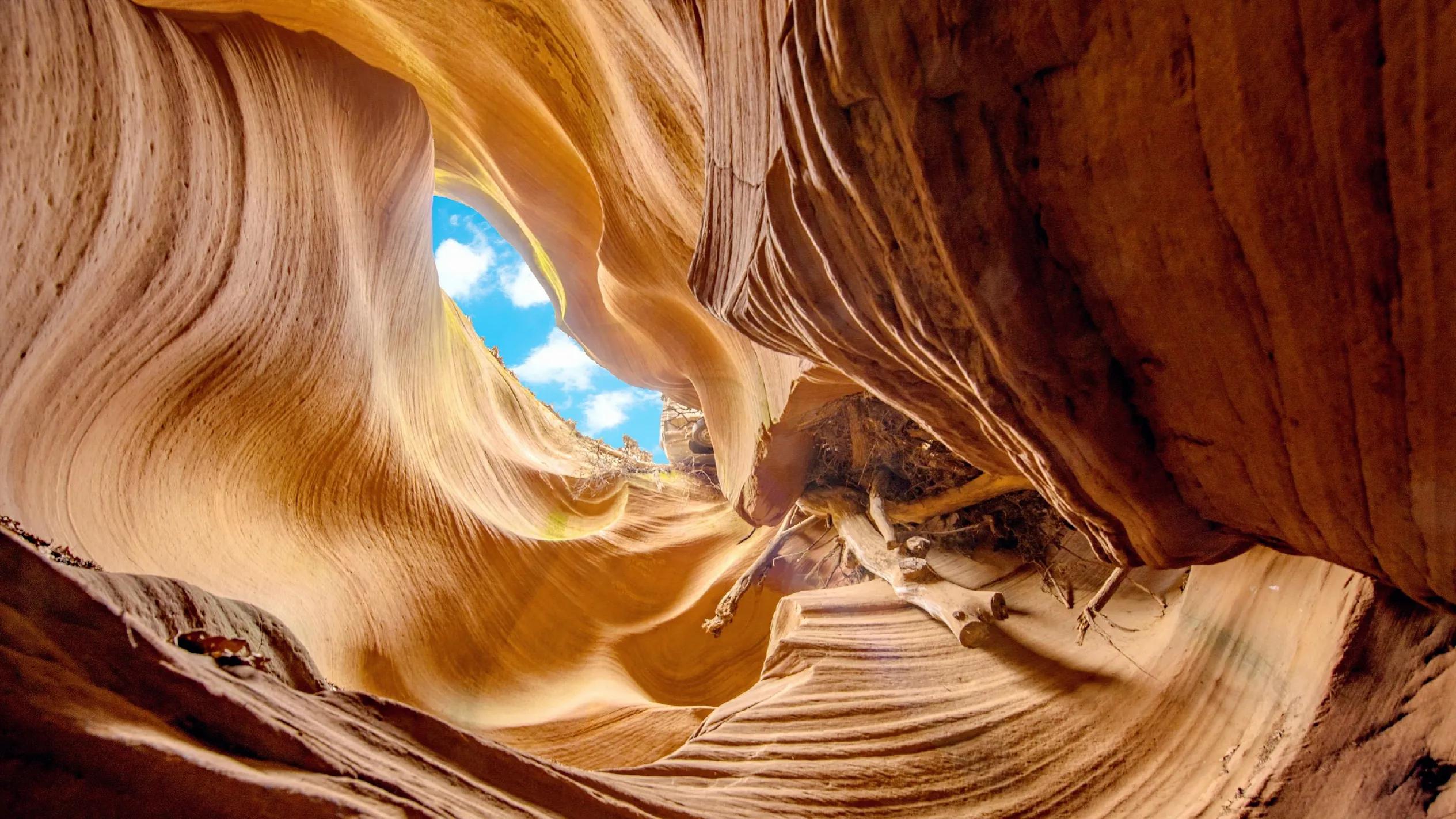 西安网红打卡地有哪些地方,西安网红打卡图书馆在哪里