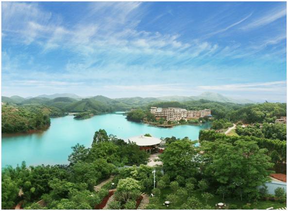 最美广西摄影大赛,壮美广西好风景