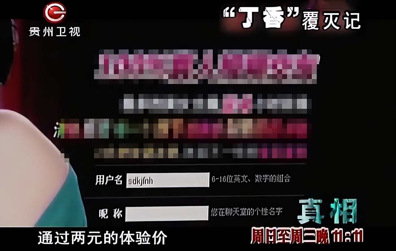 丁香网覆灭,丁香覆灭记完整版免费观看