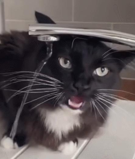 每日一笑,自己拆的家就是有安全感